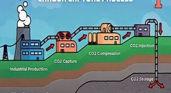 Dorong Dekarbonisasi Sektor Kelistrikan, PLN Implementasikan Teknologi Carbon Capture Storage